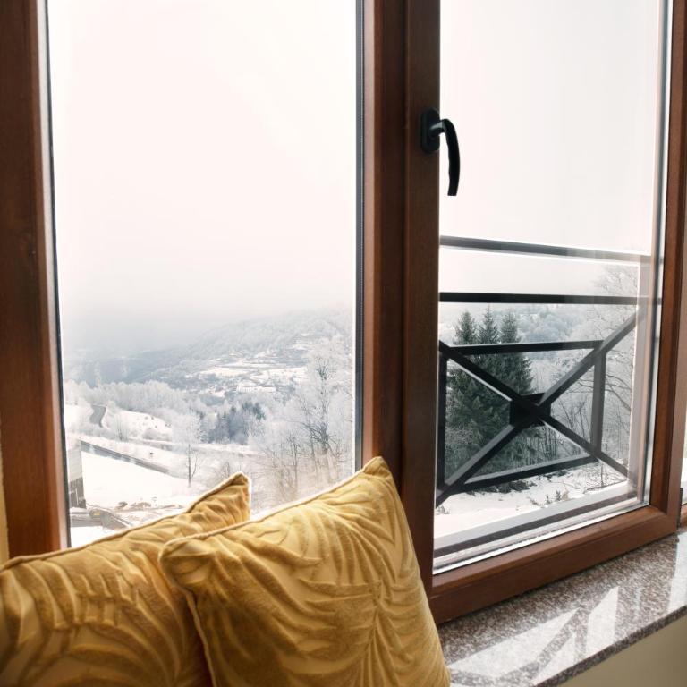 Sky Cabin Apartments - FREE GARAGE - Studio with Mountain View - 7