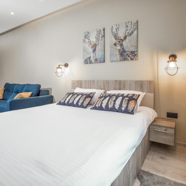 Sky Cabin Apartments - FREE GARAGE - Studio with Mountain View - 10