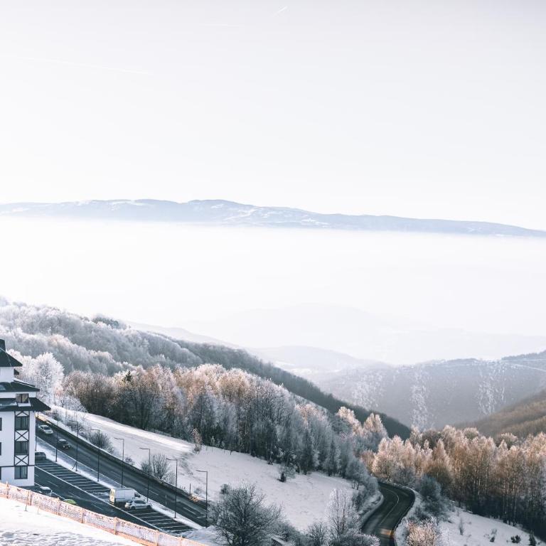 Sky Cabin Apartments - FREE GARAGE - Studio with Mountain View - 15