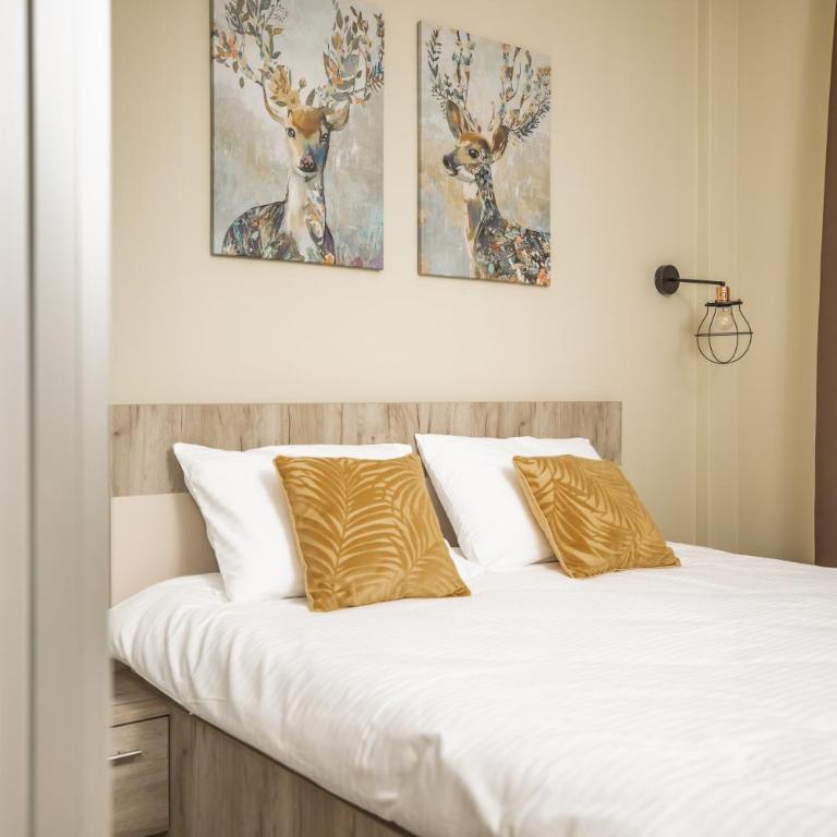Sky Cabin Apartments - FREE GARAGE - One-Bedroom Apartment - 30