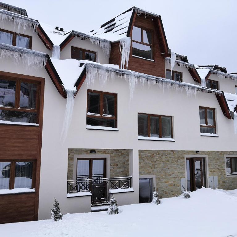Sky Cabin Apartments - FREE GARAGE - One-Bedroom Apartment - 10