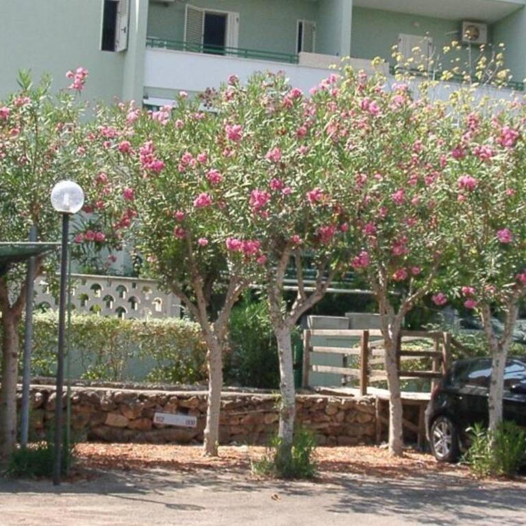Baia Verde house 88 - Casa con 2 Camere da Letto - 8