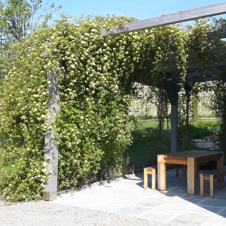 Casa Nalin - Appartamento con 2 Camere da Letto - 2