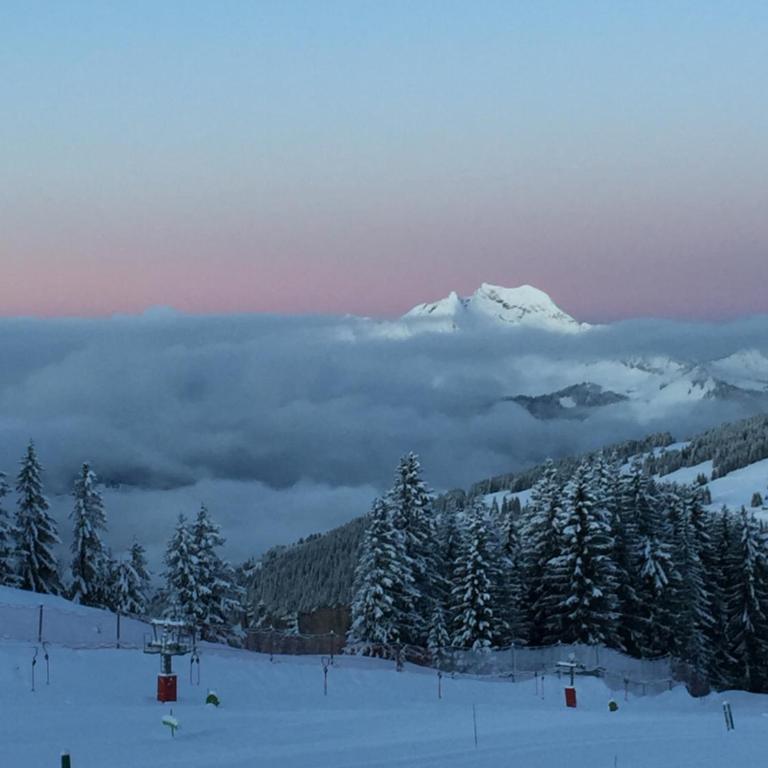 Avoriaz le M1212 - Appartement avec Vue sur la Montagne - 30