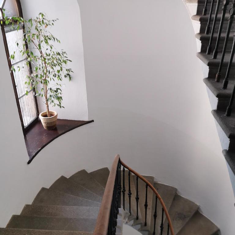 FEWO am Neuen Dom - Apartment - 11