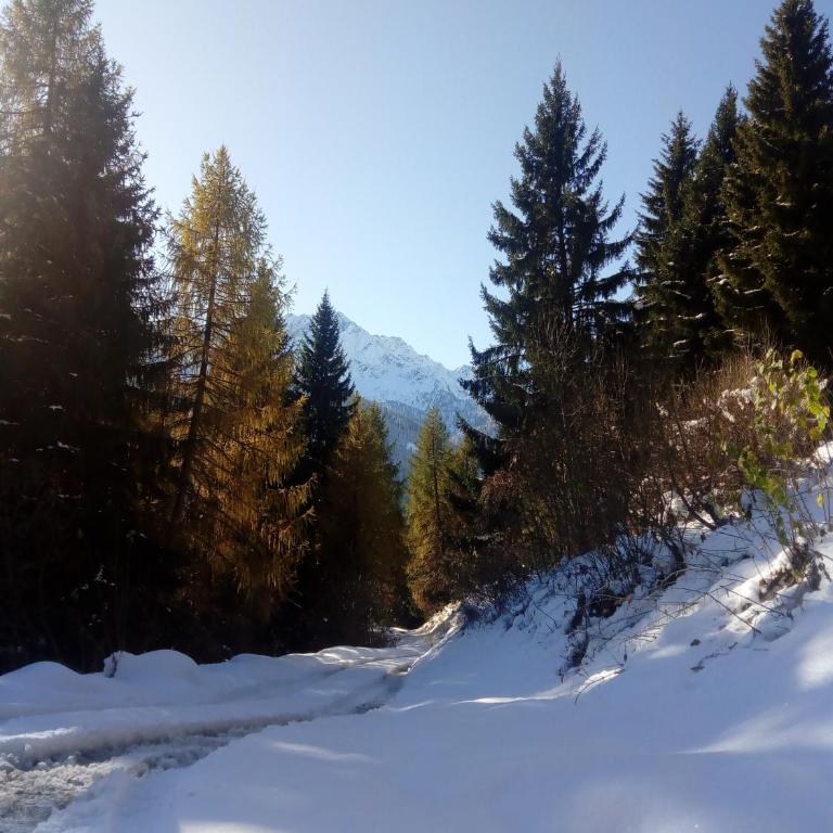 Appartamento Cristallo di Ghiaccio - Appartamento con Vista Montagna - 2