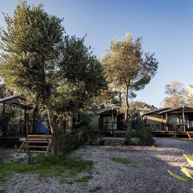 Oasi Camping - Bungalow con 2 Camere da Letto - 2