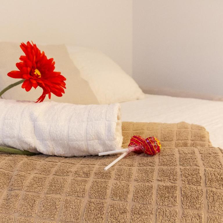 Alessia's Flat- Politecnico - Appartamento con 1 Camera da Letto - 24