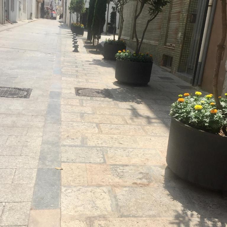 PORTBELL Anxova - Apartamento de 3 dormitorios - 20