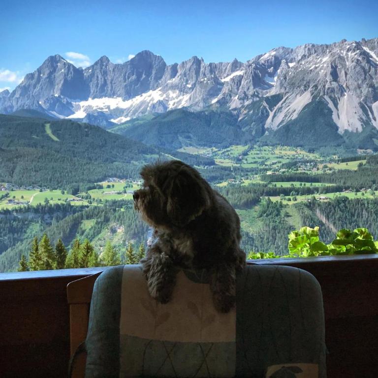 Appartements Wilma - Apartment mit Blick auf die Berge - 7