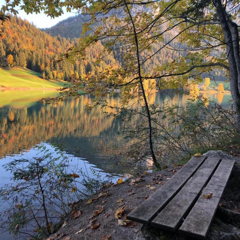 Chalet Hinterstein - Casa de 3 dormitorios - 18