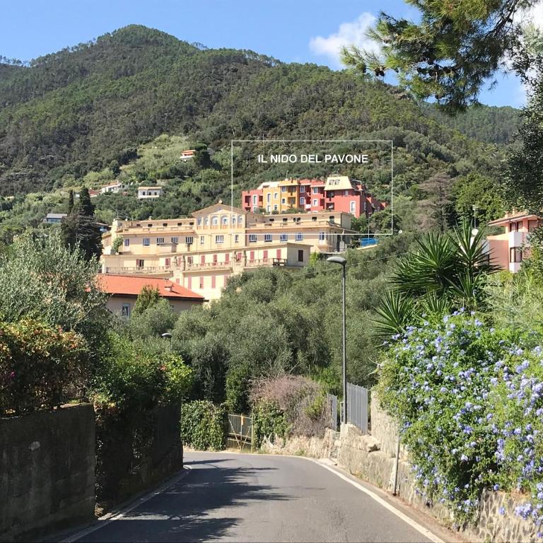 Il nido del pavone - Appartamento con Vista Mare - 14