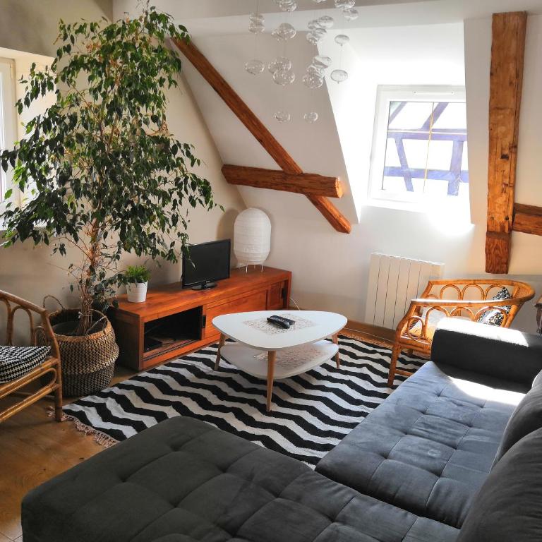 Au Grenier de La Grenouille - Appartement 3 Chambres - 2