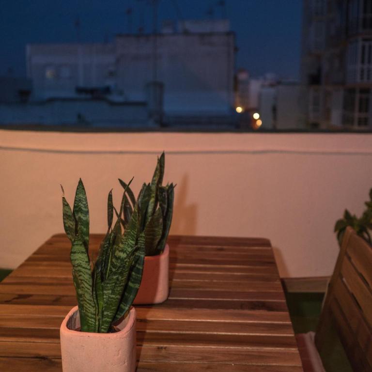 Micaela - Apartamento de 1 dormitorio - 37