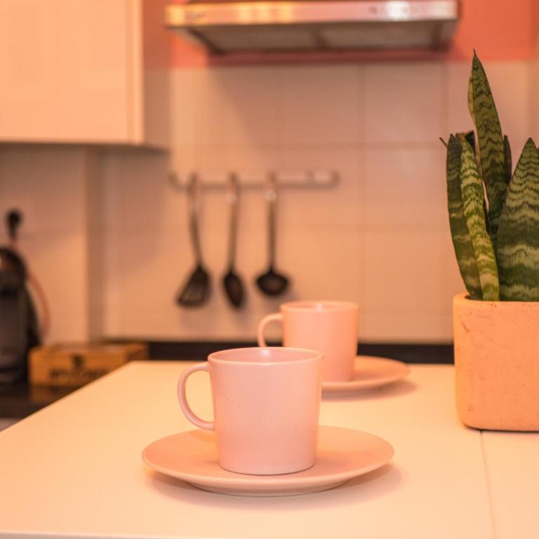 Micaela - Apartamento de 1 dormitorio - 19