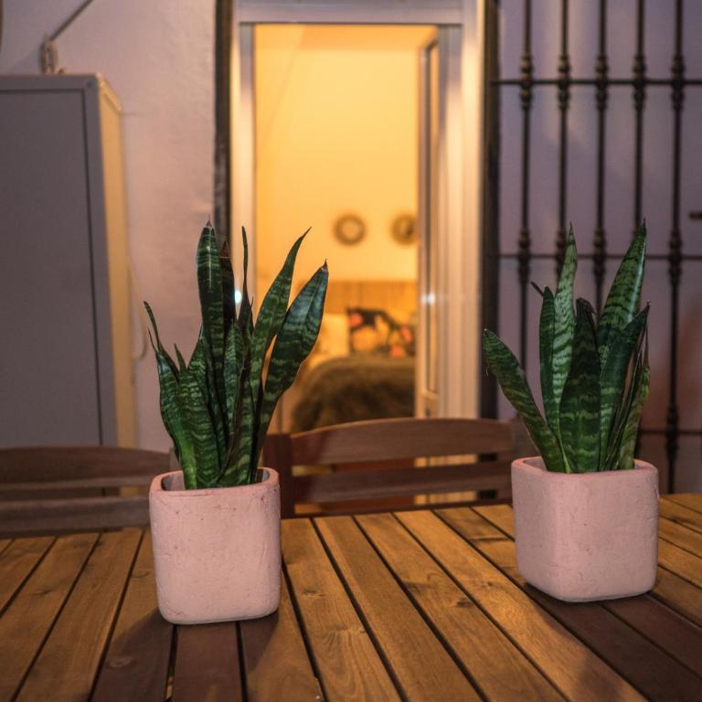 Micaela - Apartamento de 1 dormitorio - 35