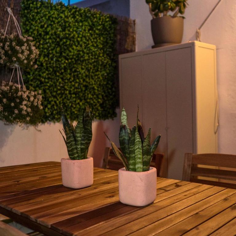 Micaela - Apartamento de 1 dormitorio - 36