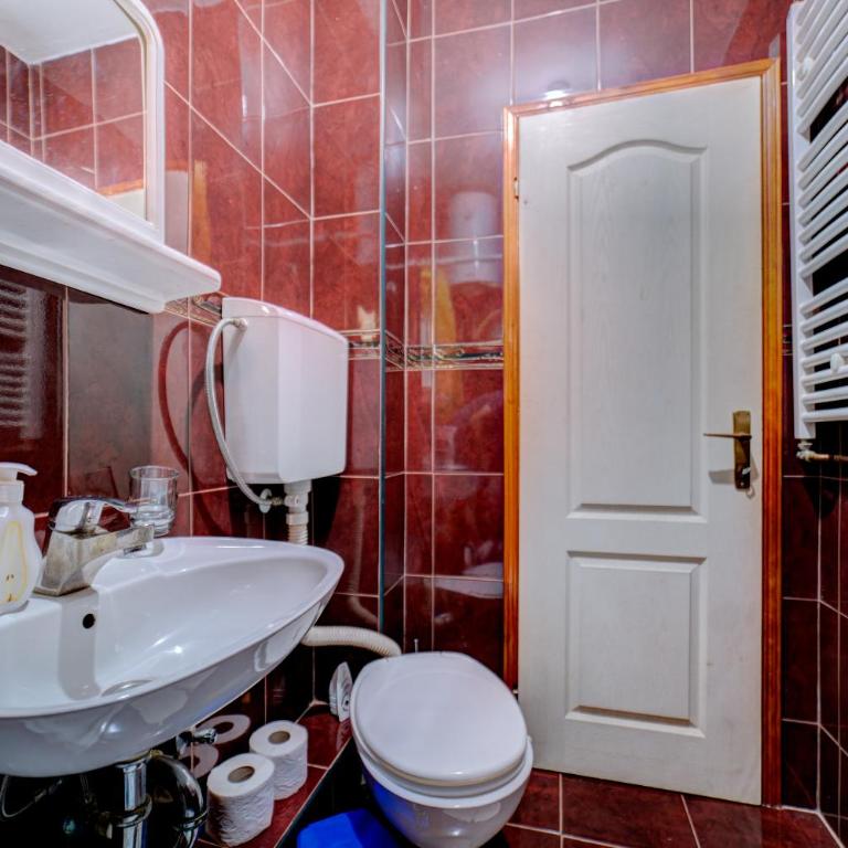 Villa Ruža Apartments - Studio sa Terasom - 13