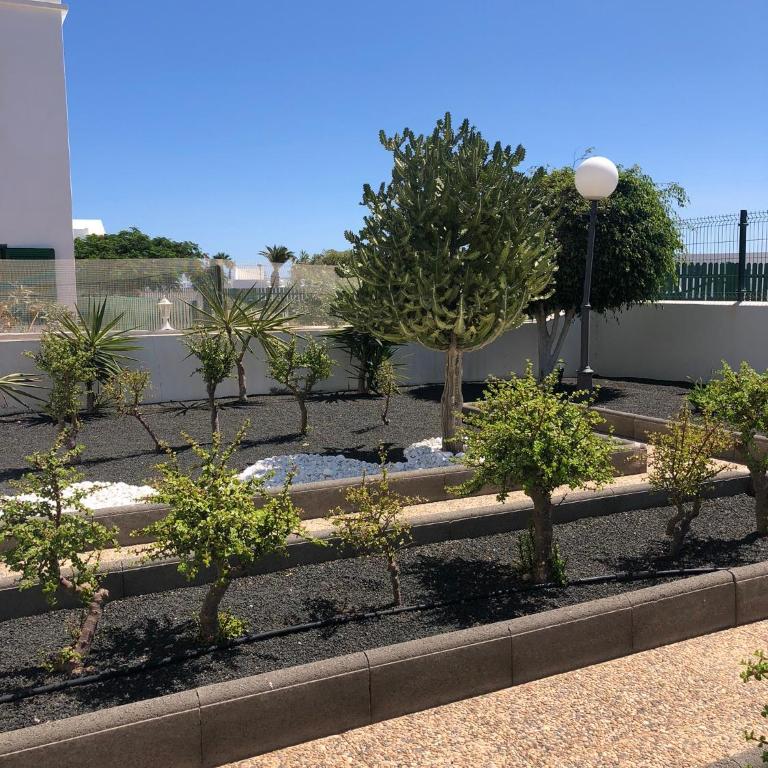 Las Mimosas - Apartamento - Planta baja - 19