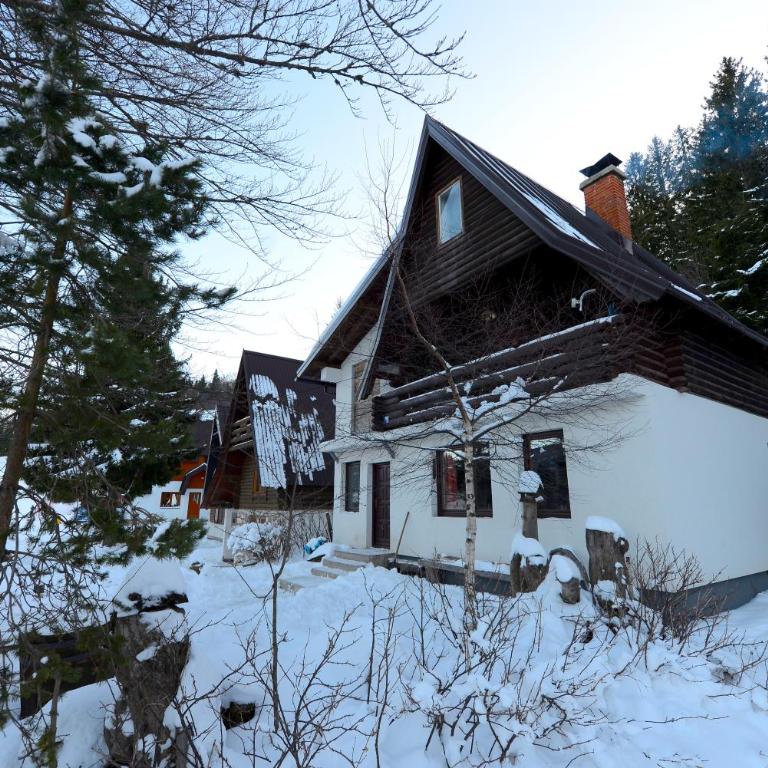 Čarobna Kuća Jahorina - Three-Bedroom House - 2