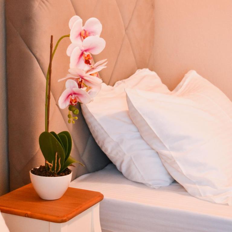 Beach Walk Apartments - Apartman - 1