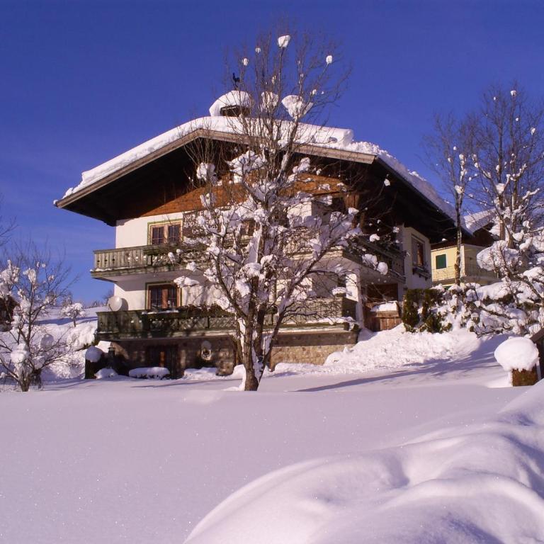 Landhaus Hirterhütte - Two-Bedroom Apartment - 1