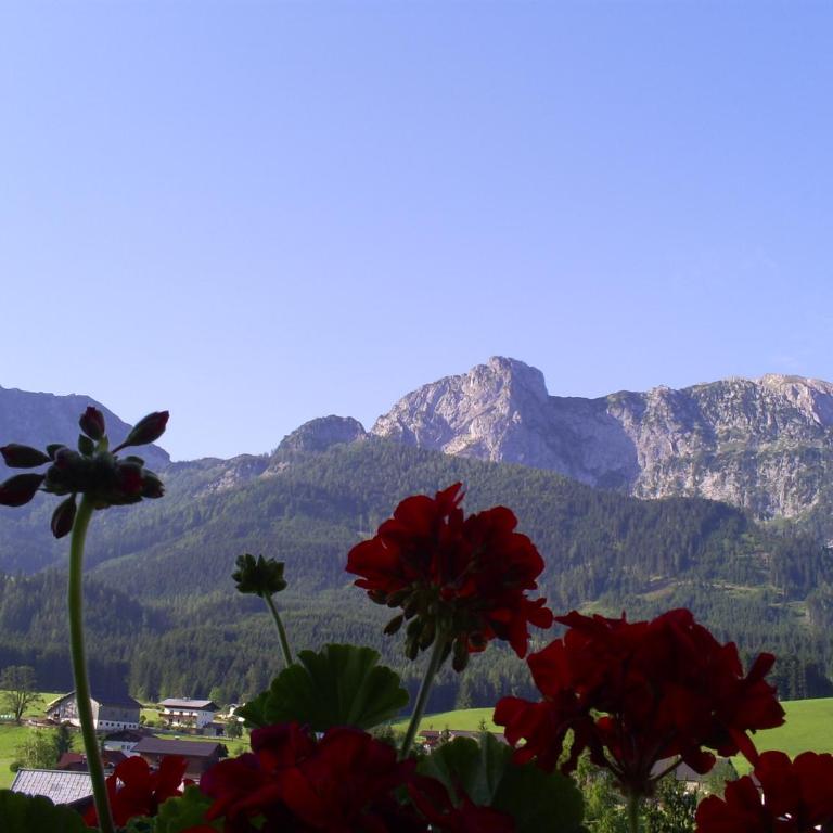Landhaus Hirterhütte - Two-Bedroom Apartment - 12