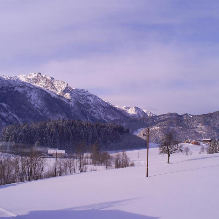 Landhaus Hirterhütte - Two-Bedroom Apartment - 34