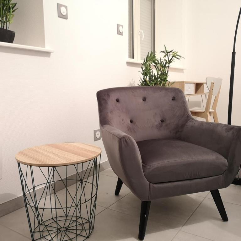 LE WILSON SUITE - Centre-ville - Gare - Tram - Appartamento al Piano Terra - LE SENSATION - 19