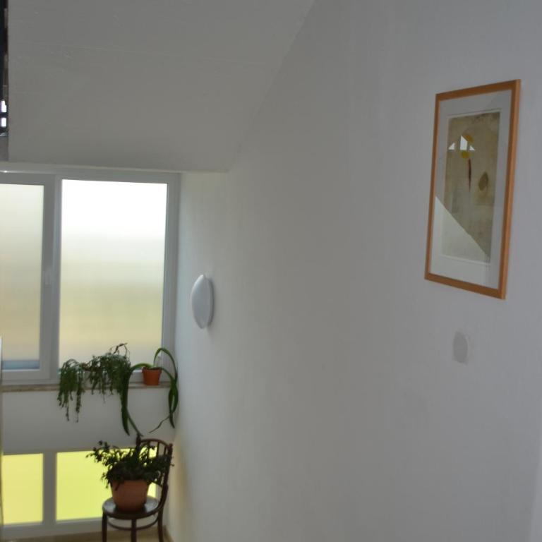 Ferienwohnungen Monika - Apartment mit 1 Schlafzimmer - 7