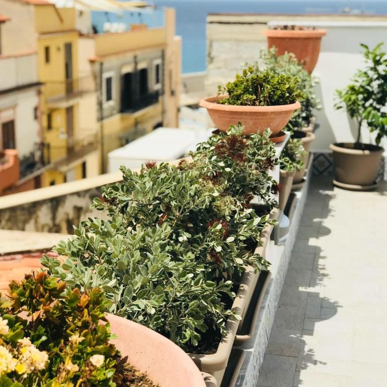 Fiori d'Arancio - Appartamento con Terrazza - 18
