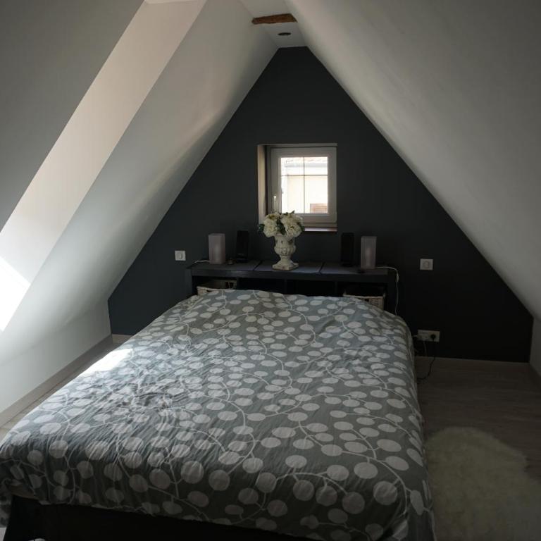 Au Grenier de La Grenouille - Appartement 3 Chambres - 10