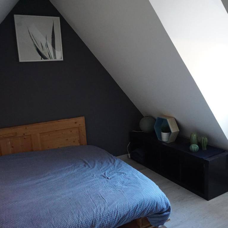 Au Grenier de La Grenouille - Appartement 3 Chambres - 13