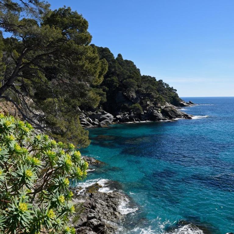 Green Escape Roquebrune ,Maison au cœur du golf 18 trous - Maison 1 Chambre - 32