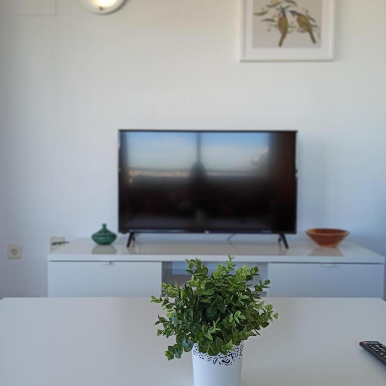 Apartamento en edificio Stella Maris - Apartamento - 7