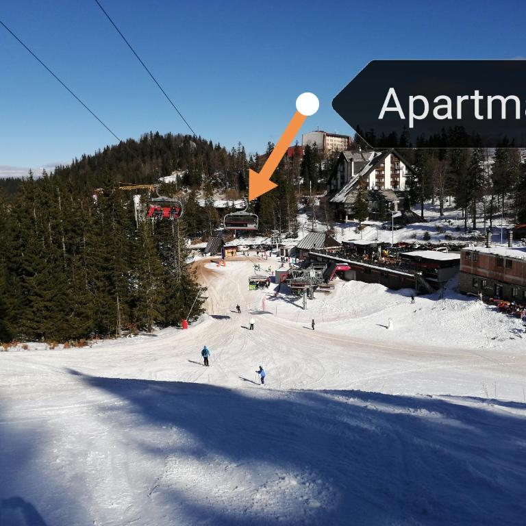 Jahorina apartman Košuta D5 - One-Bedroom Apartment - 11