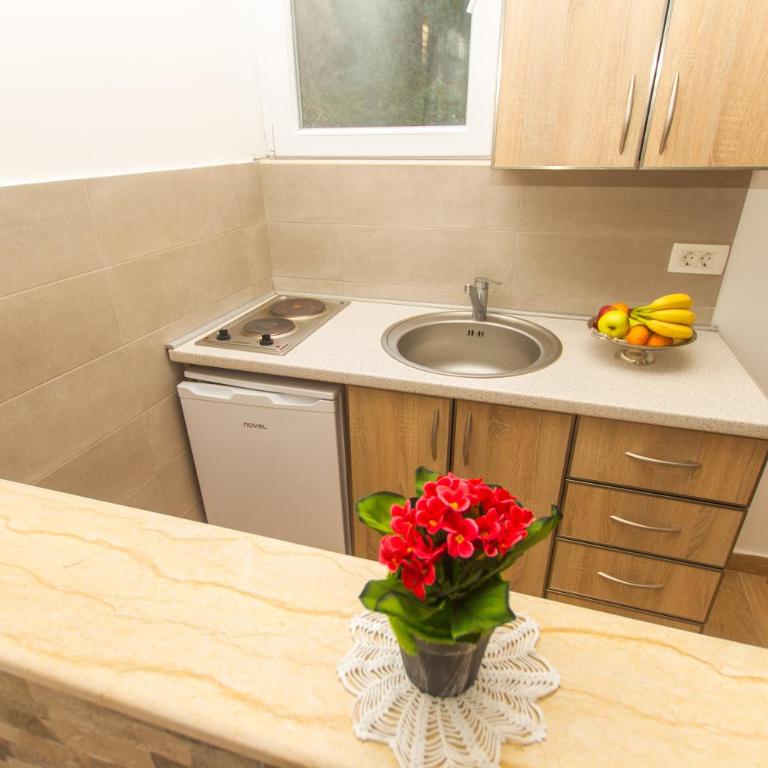 Apartments Petković - One-Bedroom Apartment with Balcony and Sea View - 14