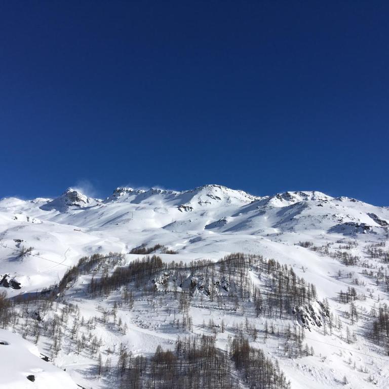 La marmotta bianca ski in out - Appartamento con 2 Camere da Letto - 25