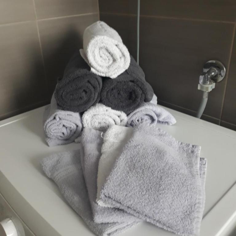 Stan na dan Nina - Pale Centar - Standard Apartment - 41
