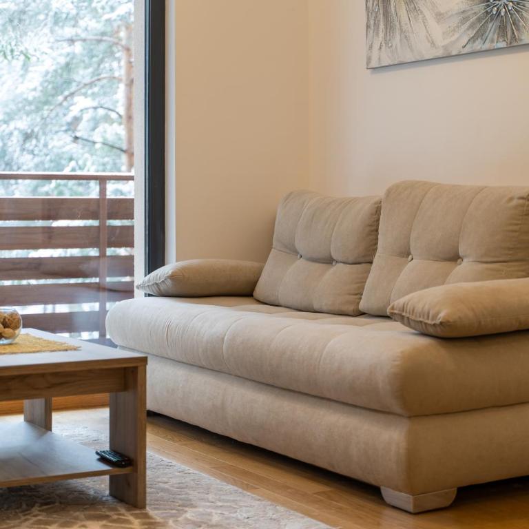 Apartment Imperial in Vila Pekovic Green - Apartman sa 2 Spavaće Sobe - 4