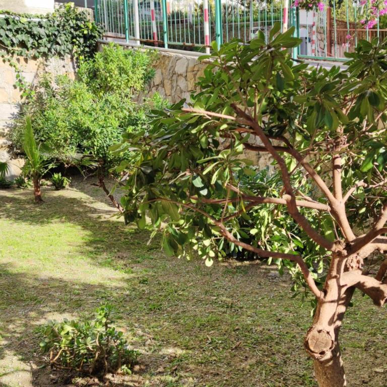 semeria103 - Appartamento con 2 Camere da Letto e Giardino Privato - 53