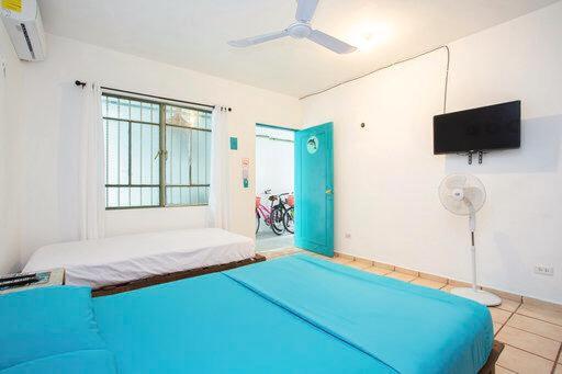 Casa Cálido Hotel - Habitación Doble con baño privado - 1 o 2 camas - 8
