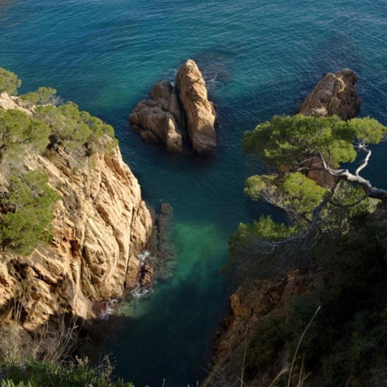 Nuevo Luminoso Apartamento Catalina a 80 metros de la playa para 4 personas - Apartamento de 2 dormitorios - 76