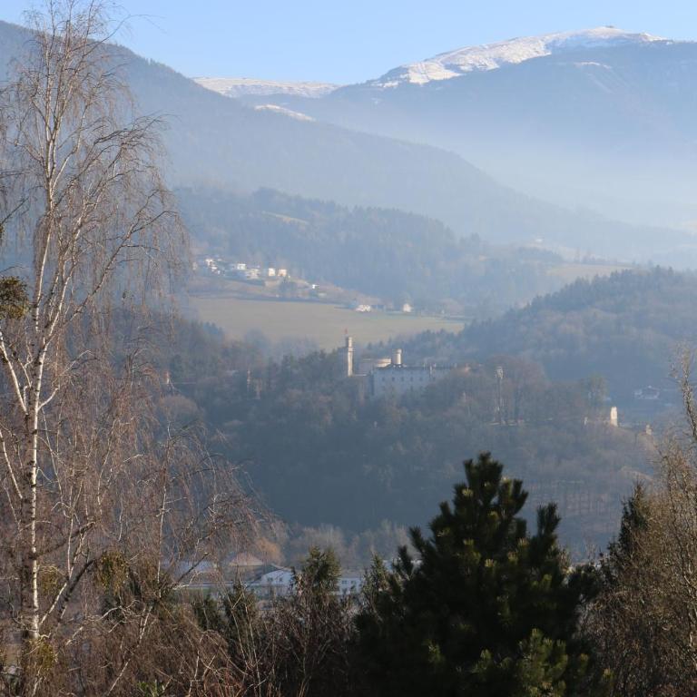 Villa Schloss - Apartment with Mountain View - 12