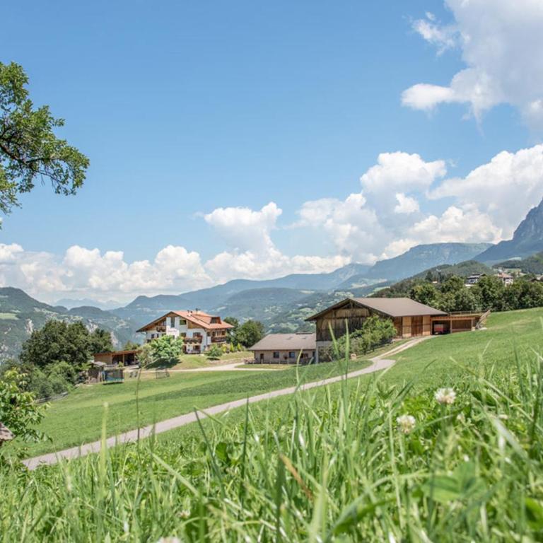 Ebenhof - Appartamento con 2 Camere da Letto - 14