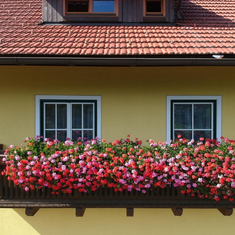 Ferienwohnungen Simonbauer - Apartment mit Blick auf die Berge - 2