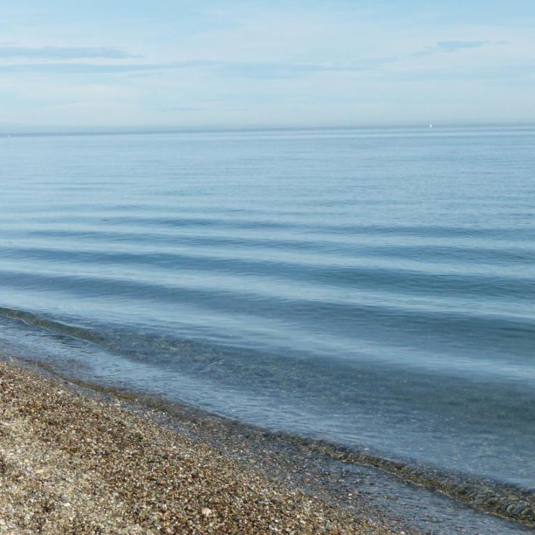 BELLE VUE sur MER au CALME - Appartement 1 Chambre - 18