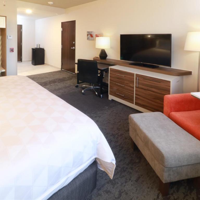 Holiday Inn & Suites Monterrey Apodaca Zona Airport, an IHG hotel - Habitación Estándar - Cama extragrande - 4