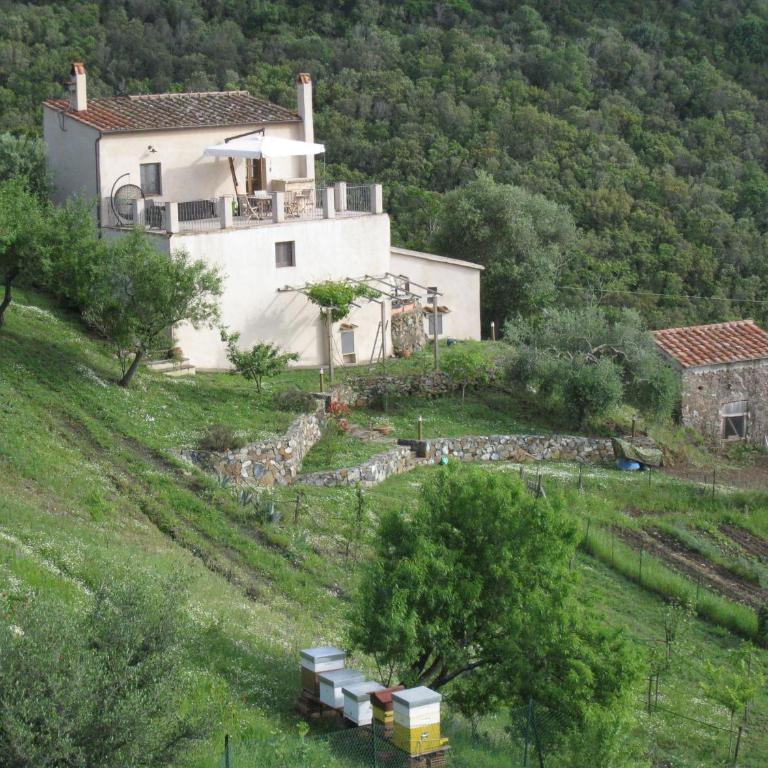 Casa del Macinino - Casa con 1 Camera da Letto - 2