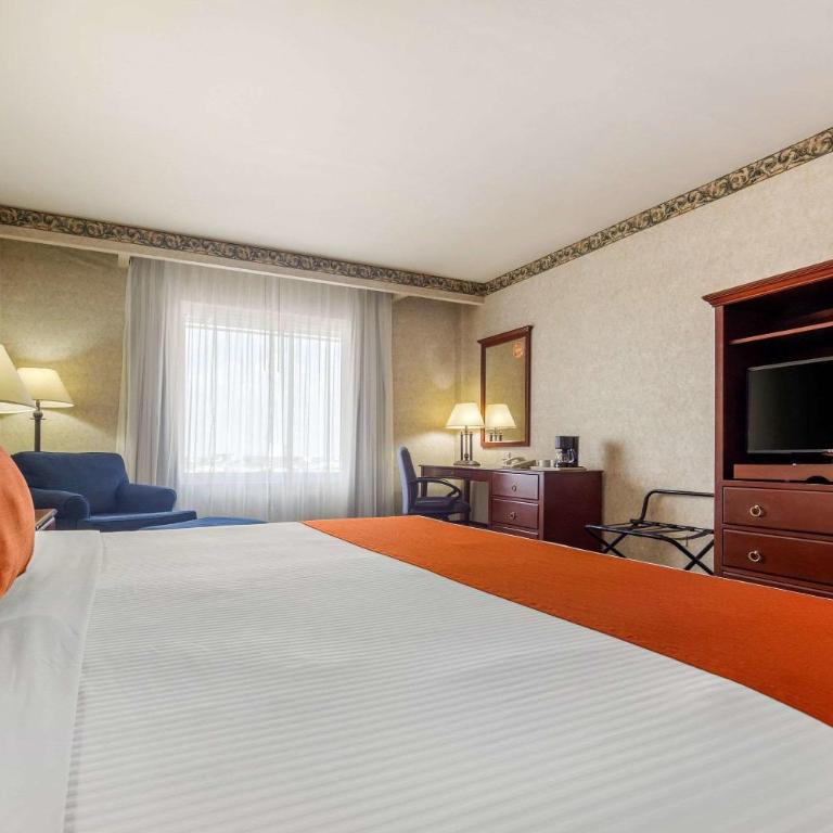 Quality Inn Monterrey La Fe - Standard King Room - 2